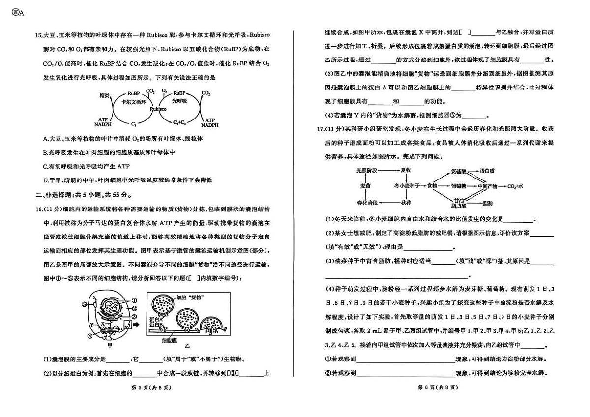 百师联盟2025-2026学年高三上学期9月调研考试生物试题（百A）第3页
