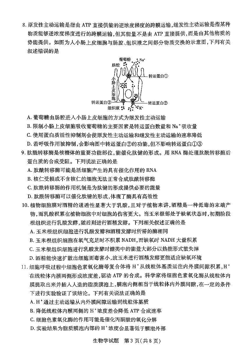生物-河南省天一大联考2025-2026学年（上）高三年级上学期9月顶尖计划（一）试题及答案第3页