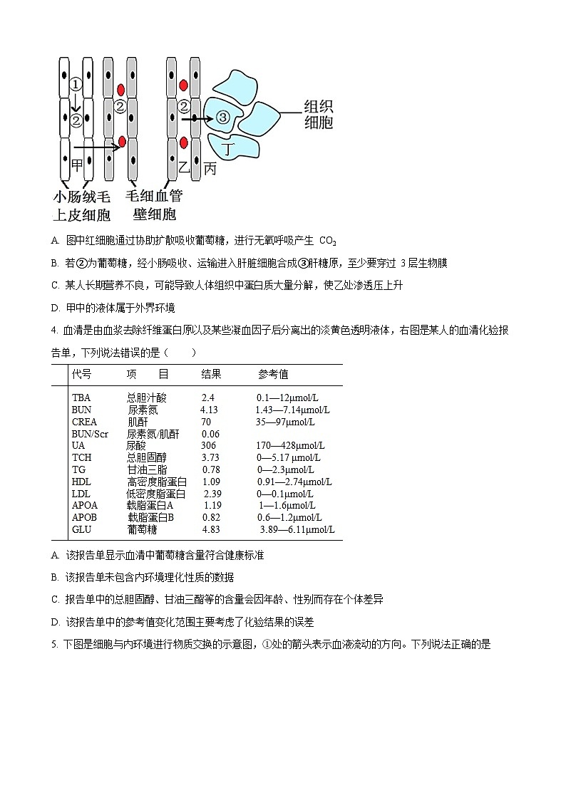 河南省南阳市第一中学校2025-2026学年高二上学期9月月考生物试卷第2页