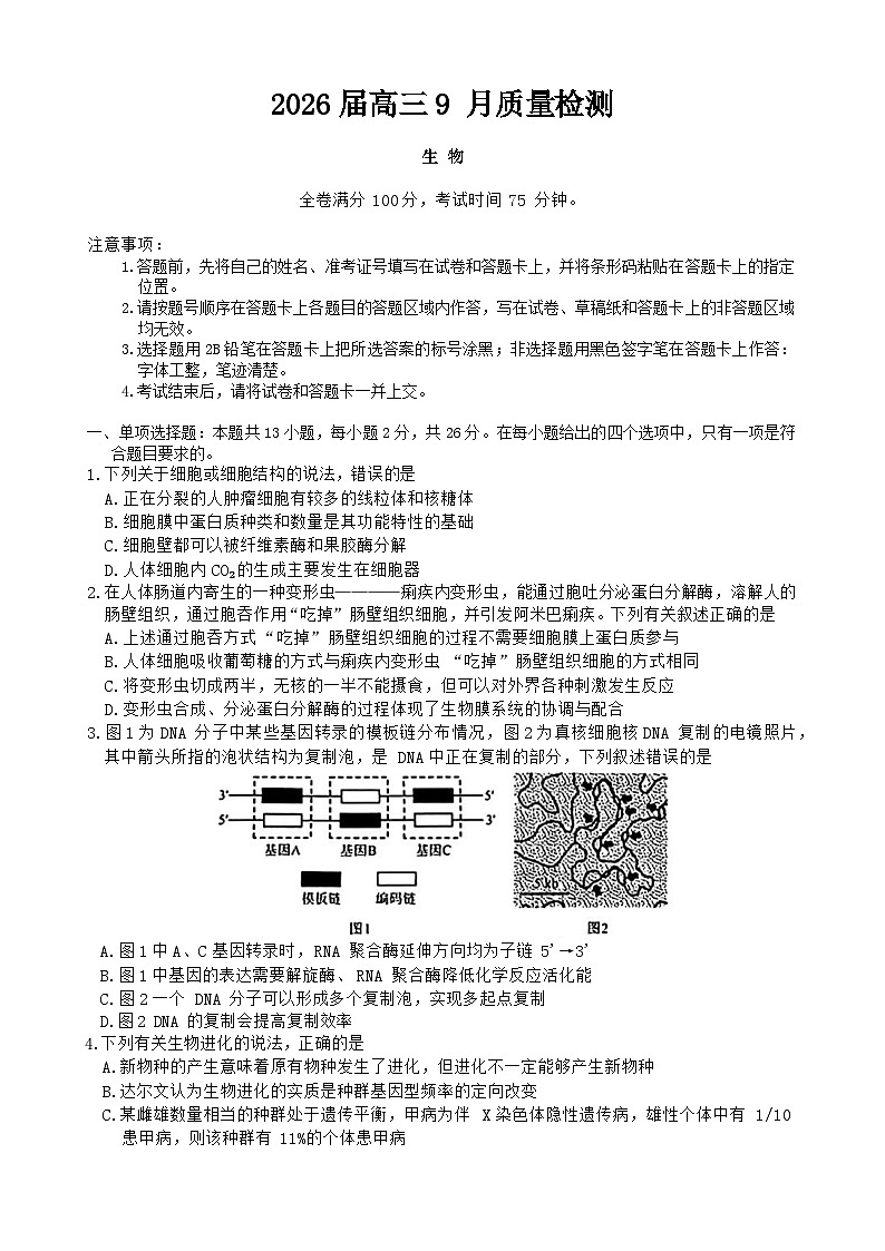 河北省衡水市枣强中学等校2025-2026学年高三上学期9月质量检测生物试题（含答案）第1页