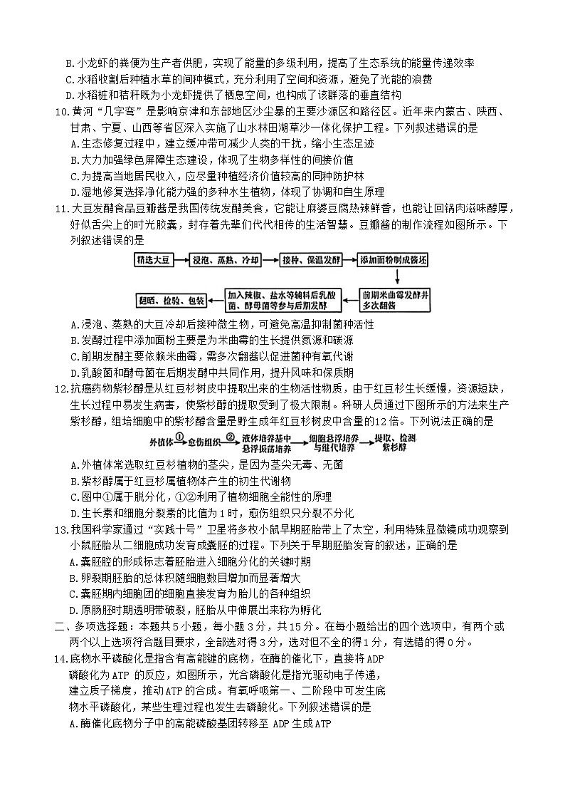 河北省衡水市枣强中学等校2025-2026学年高三上学期9月质量检测生物试题（含答案）第3页