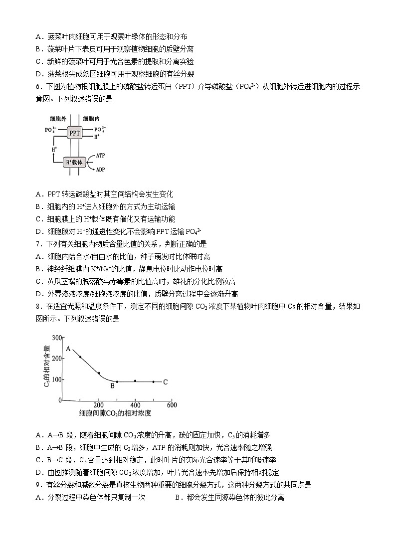 湖北省楚天协作体2025-2026学年高三上学期9月起点考试生物试题(含答案)第2页