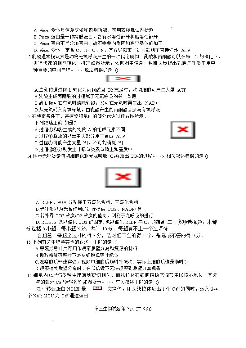 江苏省盐城市七校联盟2026届高三上学期9月第一次学情检测试题 生物（含答案）含答案解析第3页
