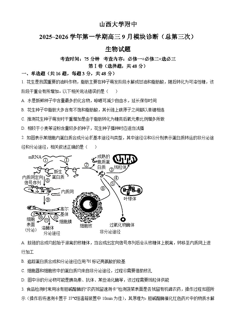 精品解析：山西省山大附中2025-2026学年高三上学期9月月考生物试题（原卷版）第1页