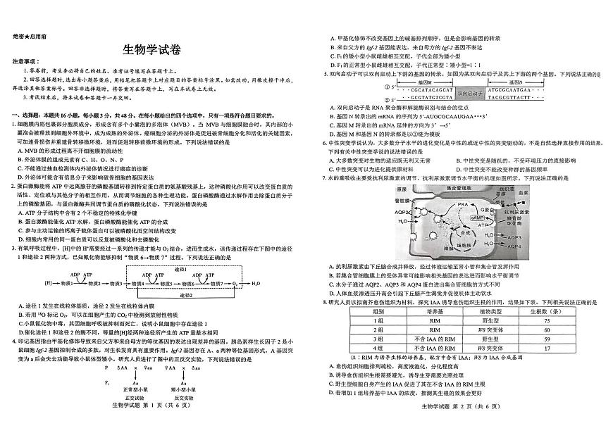 2026届陕西省西安市新城区高三上学期一模生物试题（含答案）含答案解析第1页
