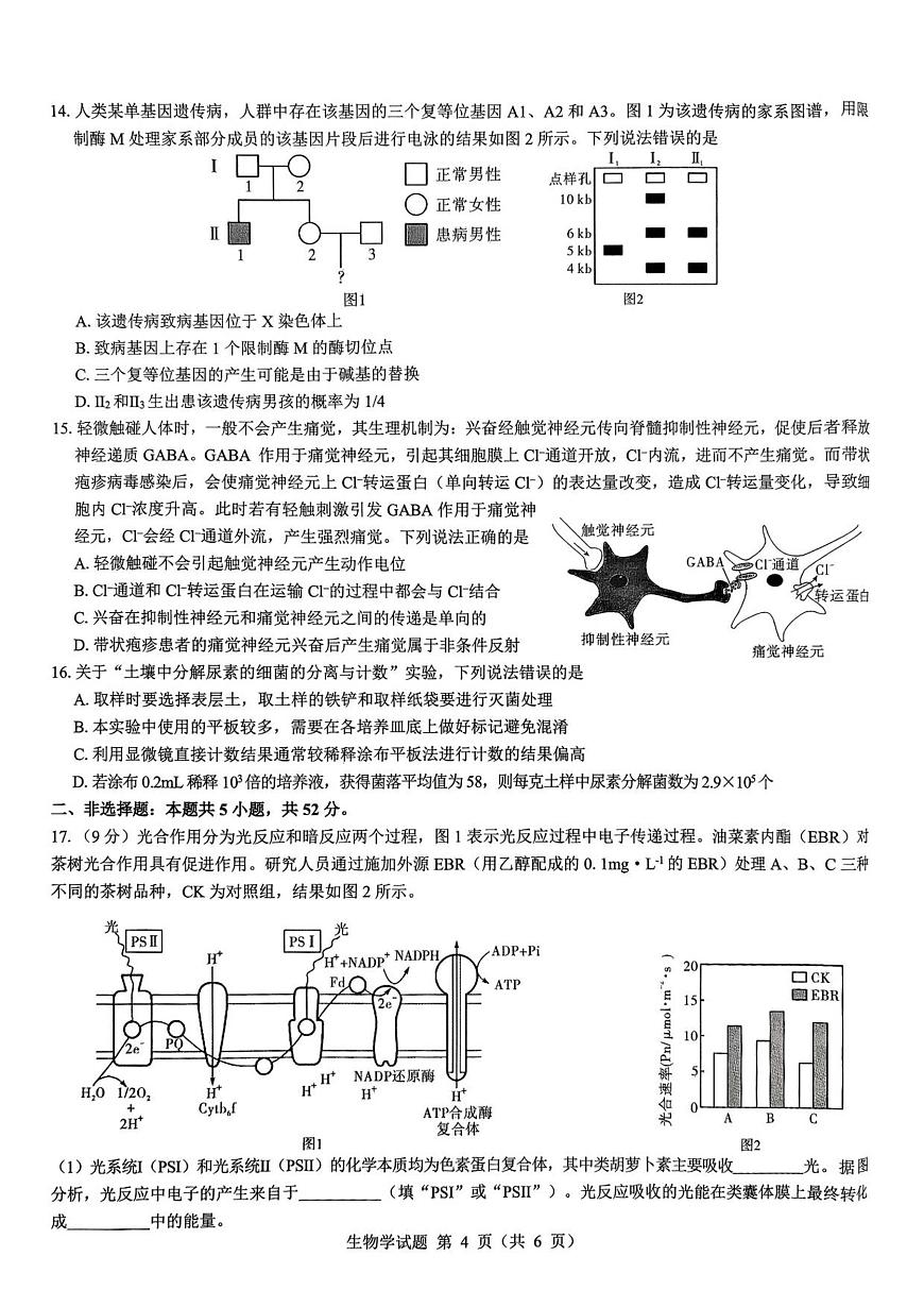 2026届陕西省西安市新城区高三上学期一模生物试题（含答案）含答案解析第3页