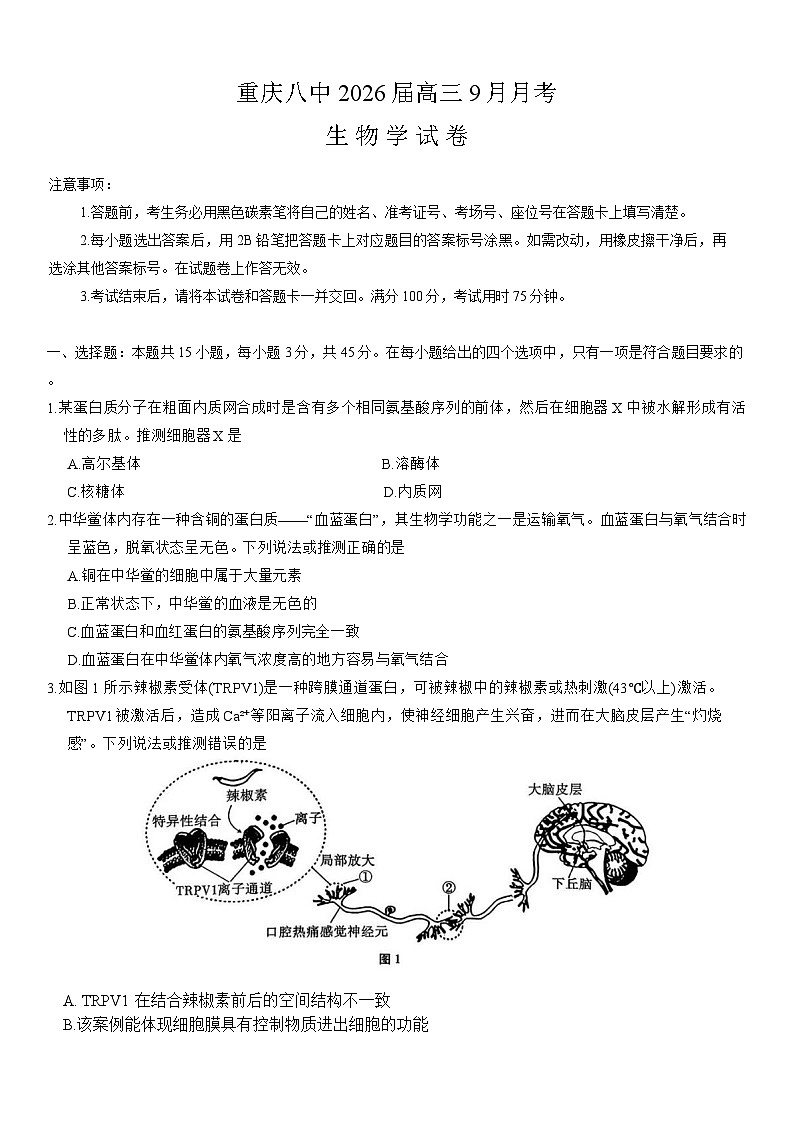 重庆市第八中学2026届高三9月高考适应性月考卷（一）生物试卷（含答案）第1页