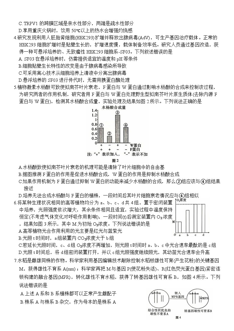 重庆市第八中学2026届高三9月高考适应性月考卷（一）生物试卷（含答案）第2页