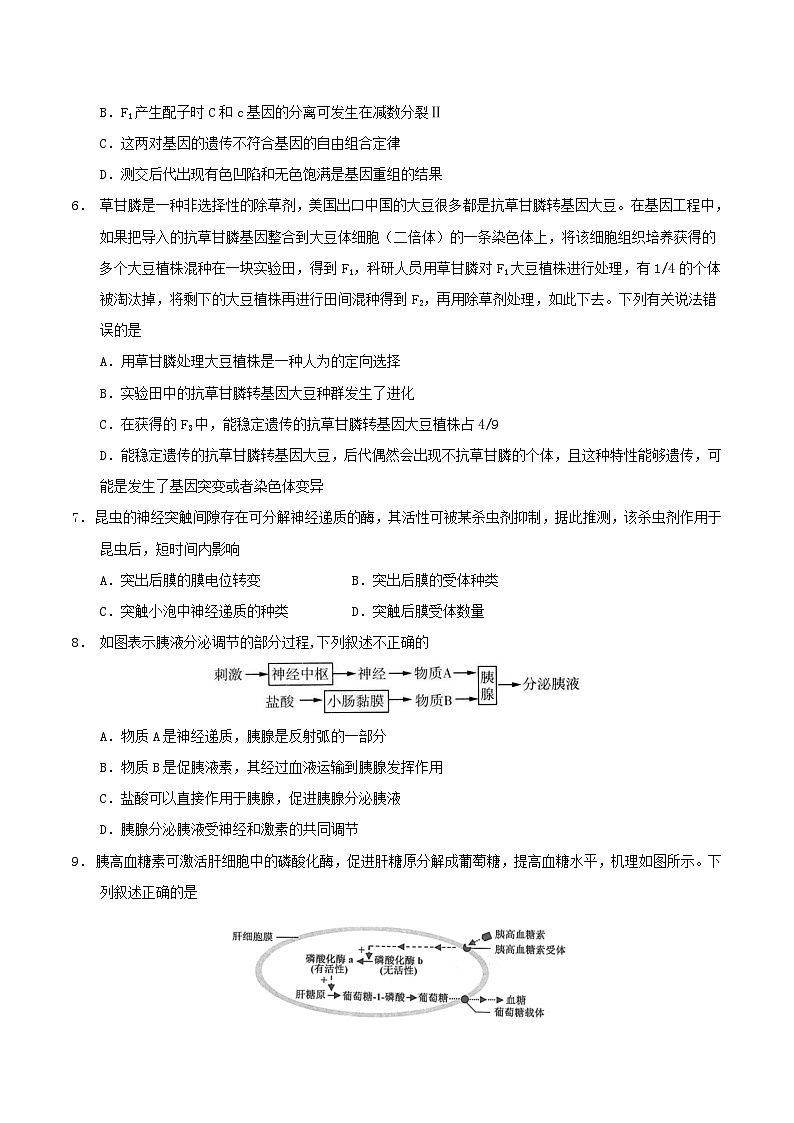 云南省玉溪第一中学2026届高三上学期适应性测试（四）生物 Word版含答案含答案解析第3页