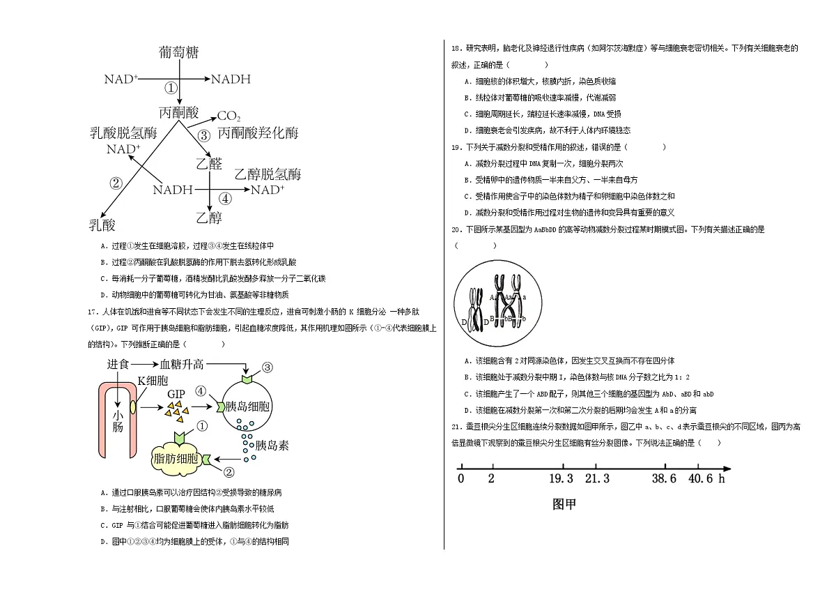 黑龙江省哈尔滨市第九中学校2022-2023学年高三上学期8月开学考试生物试卷第3页