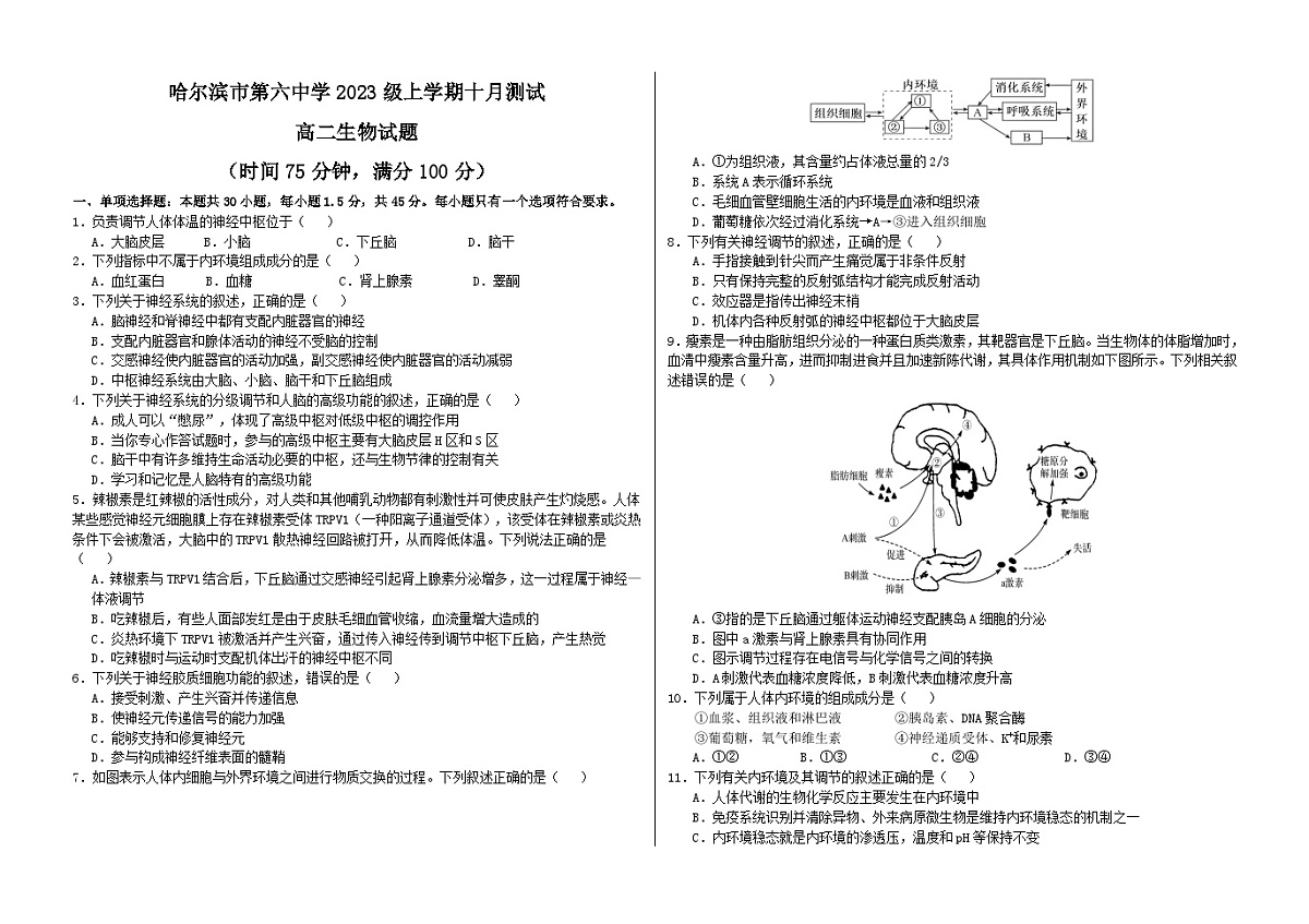 黑龙江省哈尔滨市第六中学校2024-2025学年高二上学期十月测试生物试卷第1页