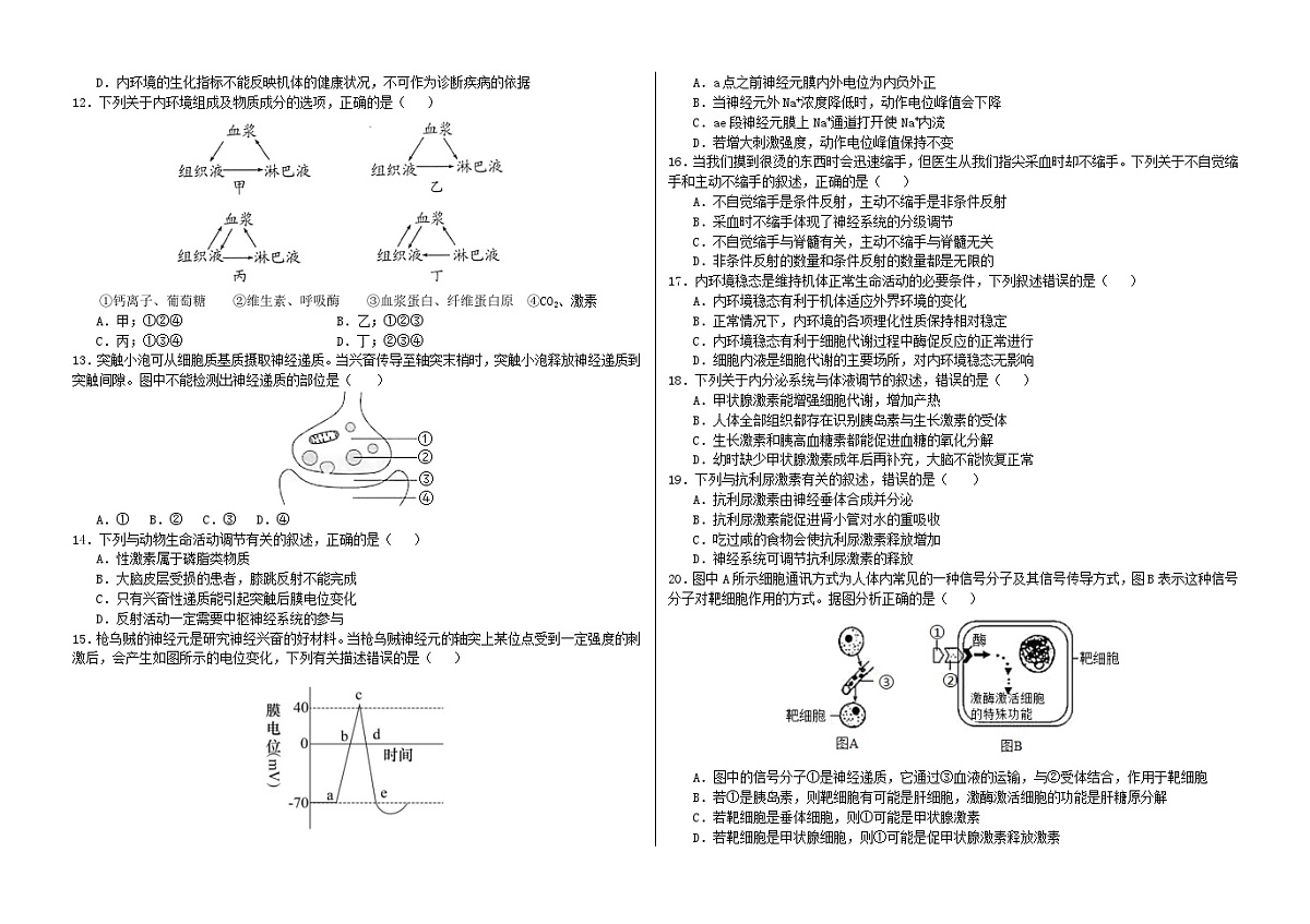 黑龙江省哈尔滨市第六中学校2024-2025学年高二上学期十月测试生物试卷第2页