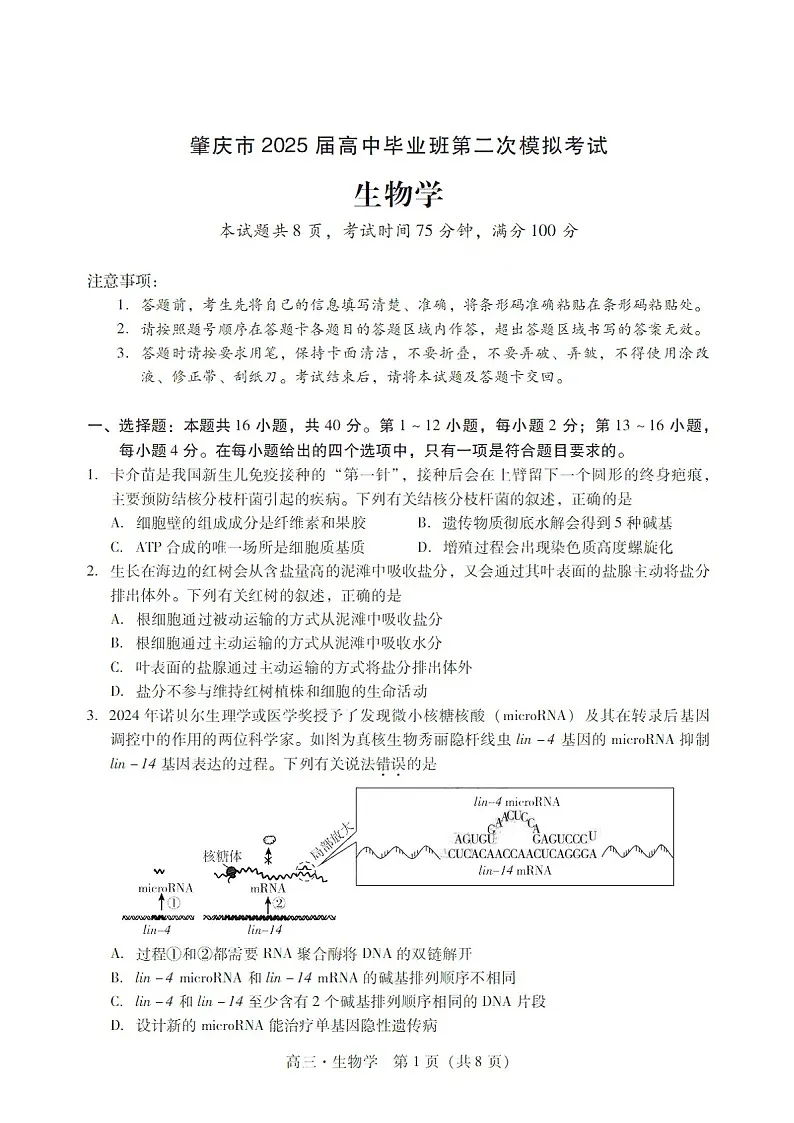 广东省肇庆市肇庆暨汕尾2025届高三上学期毕业班第二次模拟考试期末考-生物试卷（含答案）第1页