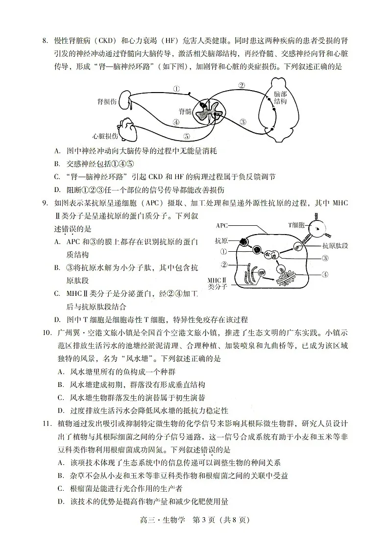广东省肇庆市肇庆暨汕尾2025届高三上学期毕业班第二次模拟考试期末考-生物试卷（含答案）第3页
