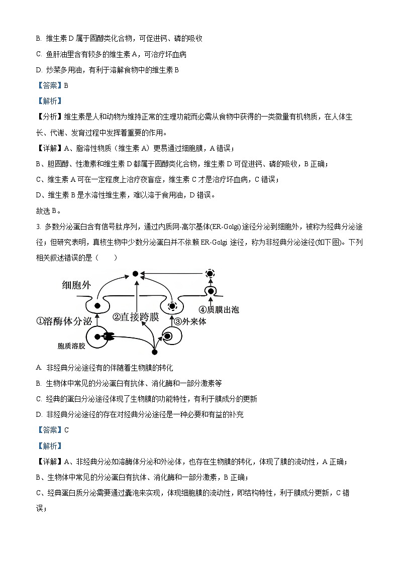 精品解析：重庆实验外国语学校2025-2026学年高三上学期9月月考2生物试题（解析版）第2页