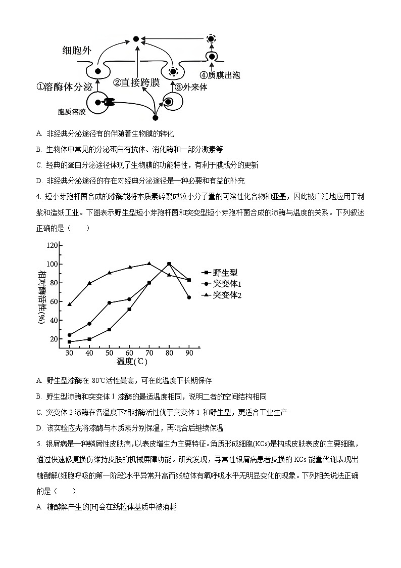 精品解析：重庆实验外国语学校2025-2026学年高三上学期9月月考2生物试题（原卷版）第2页