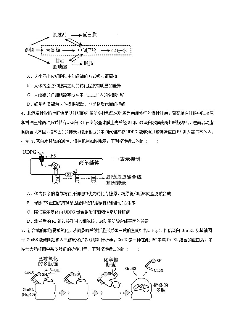 2026邵阳高一上学期9月拔尖创新班联考试题生物含答案第2页