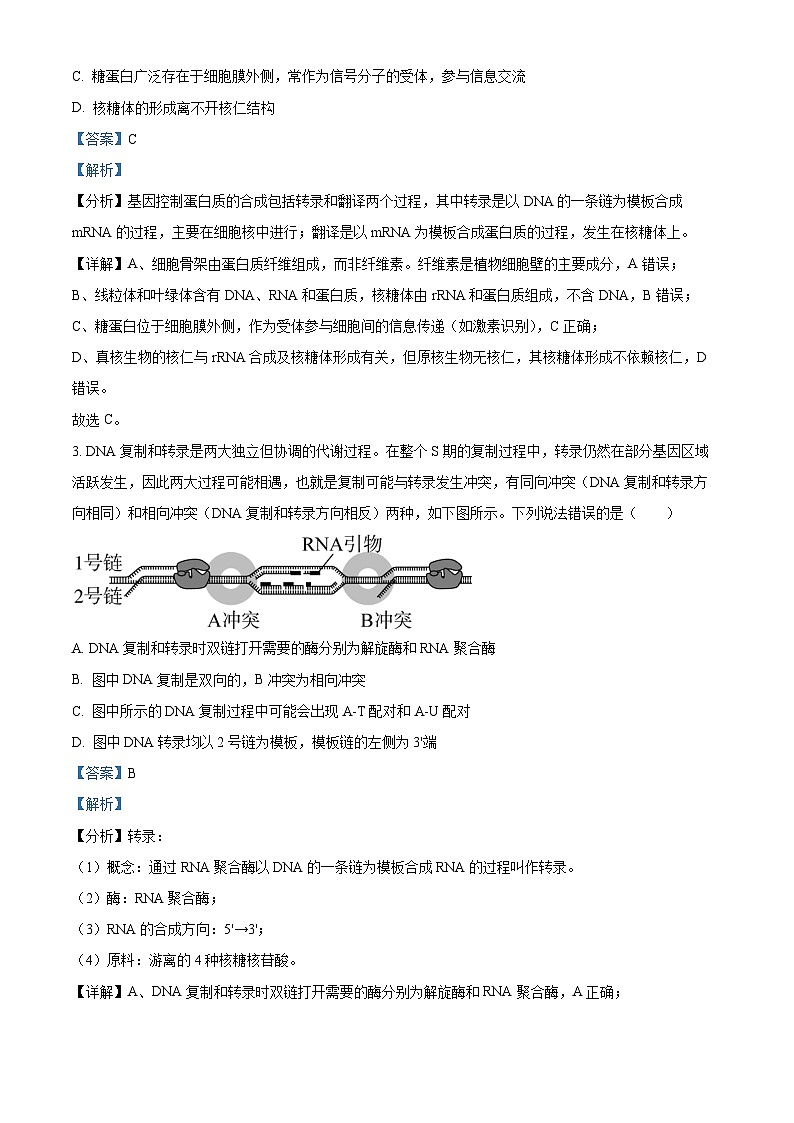湖南省湘潭市2024-2025学年高二下学期期末质量检测生物试题 Word版含解析第2页