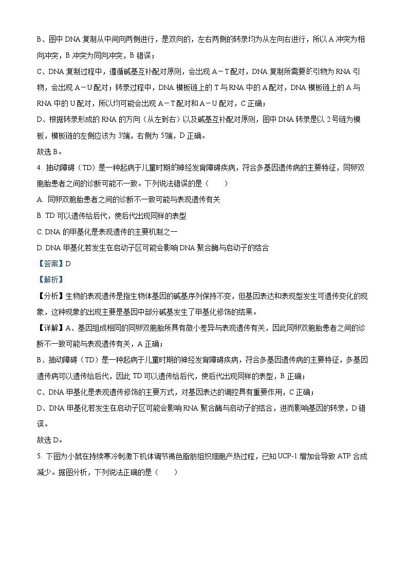 湖南省湘潭市2024-2025学年高二下学期期末质量检测生物试题 Word版含解析第3页