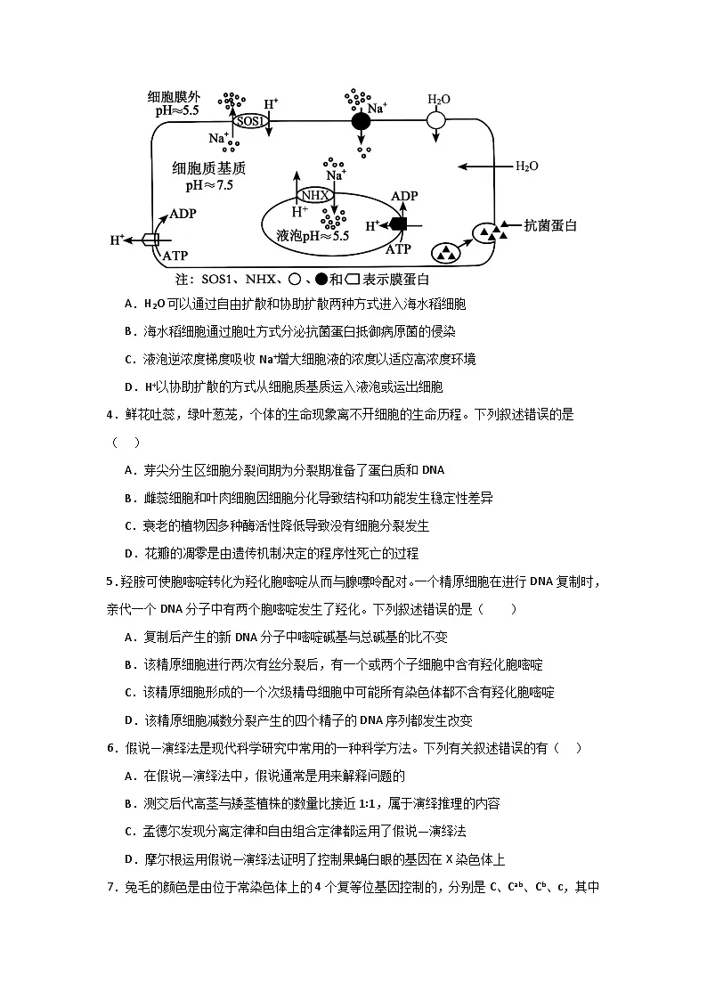 河南省信阳高级中学新校（贤岭校区）2025-2026学年高二上期09月测试（二）生物试题第2页