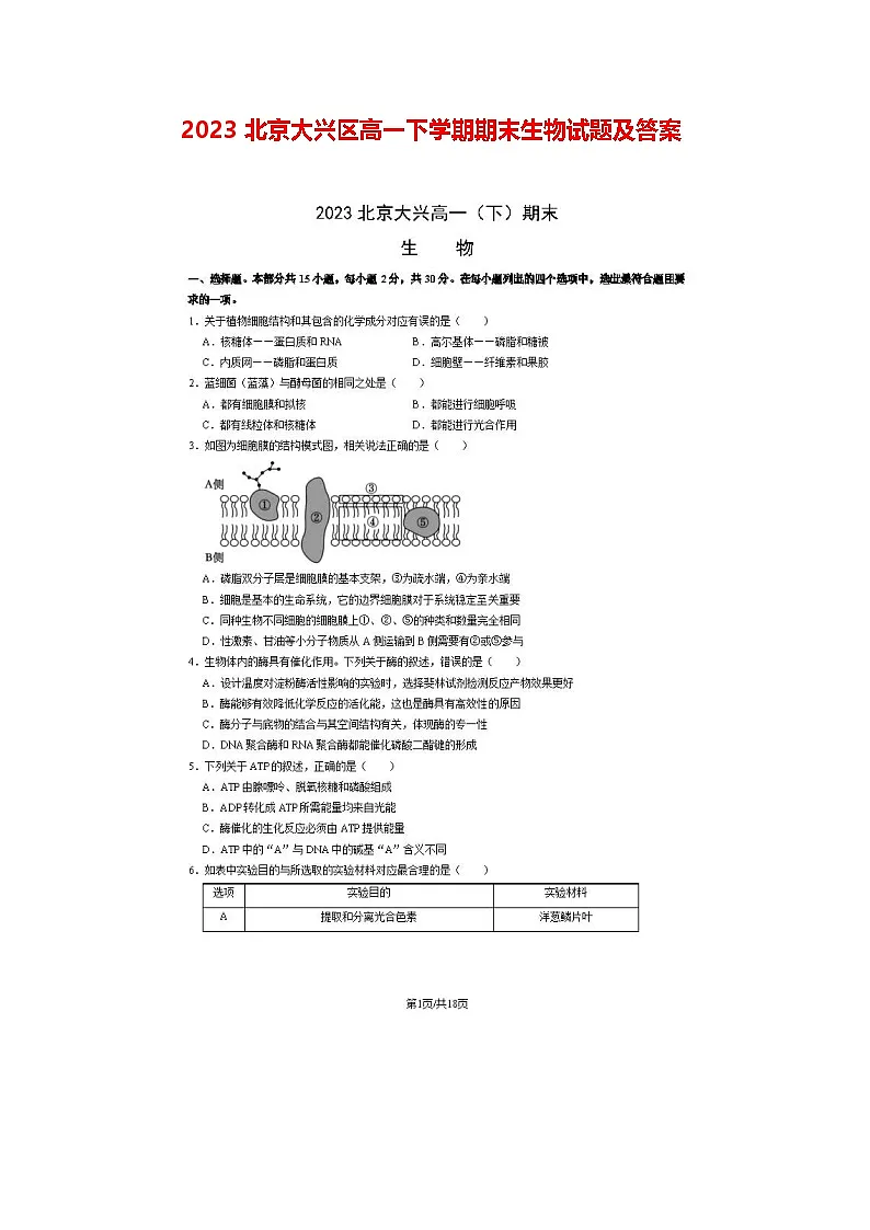 2023北京大兴区高一下学期期末生物试题及答案第1页
