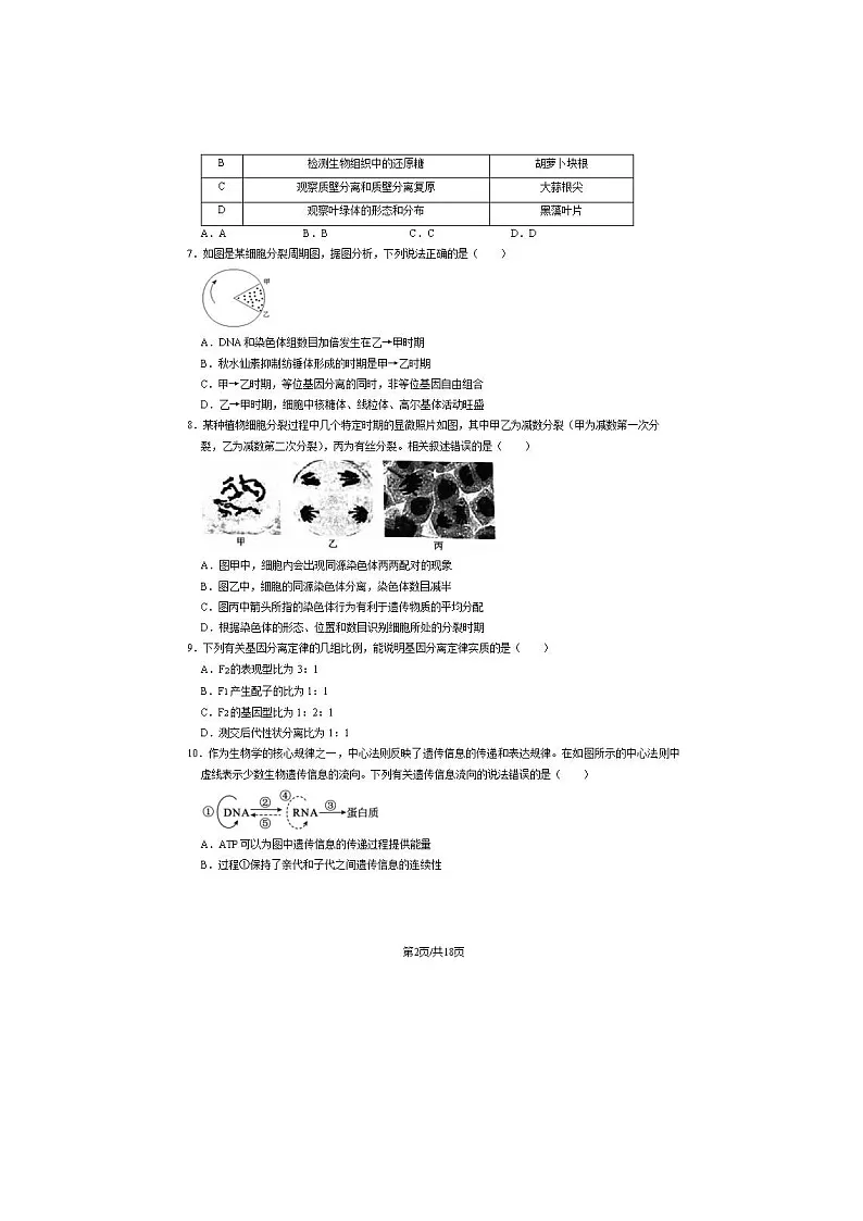 2023北京大兴区高一下学期期末生物试题及答案第2页