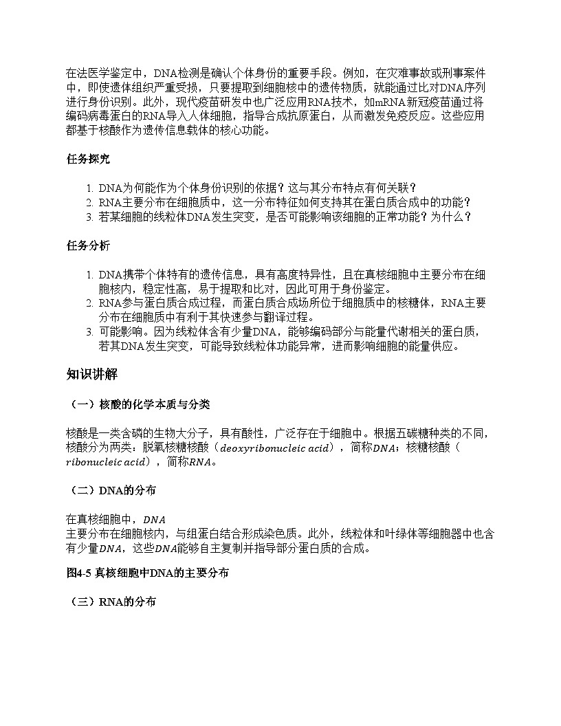 第5节 核酸是遗传信息的携带者教学设计第3页