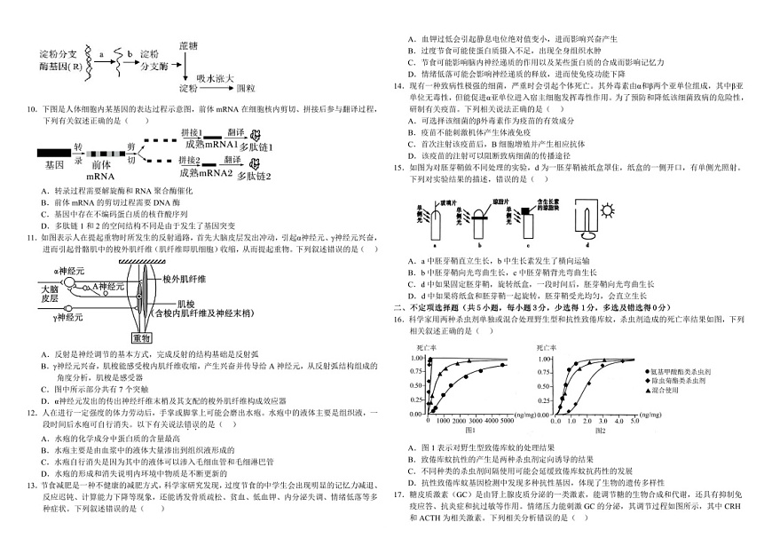 内蒙古自治区巴彦淖尔一中2025届高三上学期12月考-生物试题（含答案）第2页