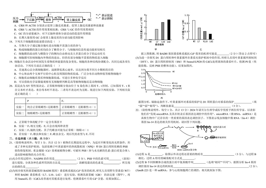 内蒙古自治区巴彦淖尔一中2025届高三上学期12月考-生物试题（含答案）第3页
