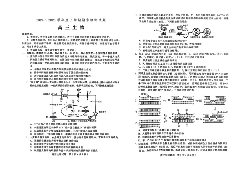 山东省潍坊市2025届高三上学期期末检测生物试卷（学生版）第1页