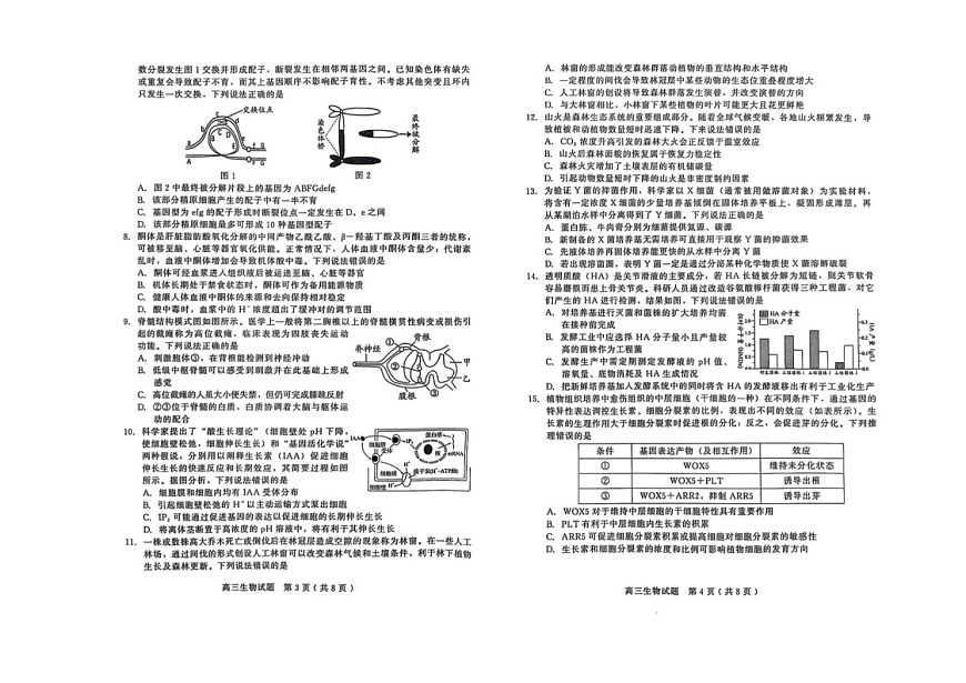 山东省潍坊市2025届高三上学期期末检测生物试卷（学生版）第2页