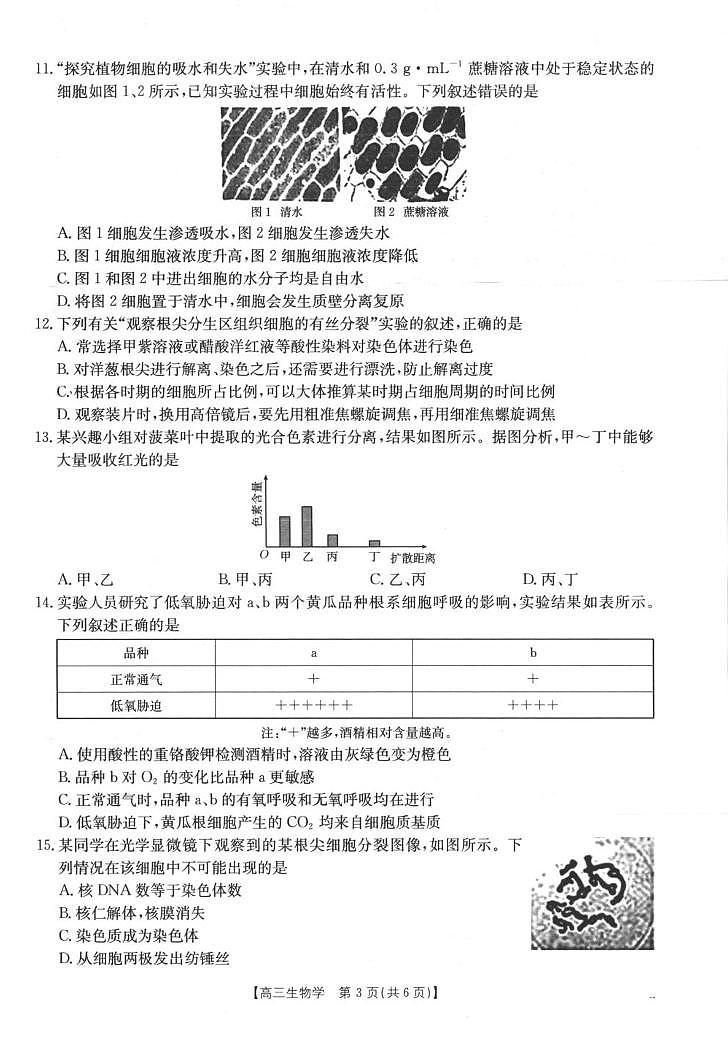 陕青宁晋金太阳2025-2026学年高三上学期9月开学联考生物试卷（含答案）第3页