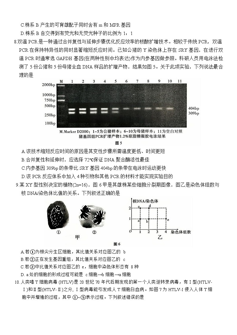 重庆市第八中学2026届高三9月高考适应性月考卷（一）生物试卷（含答案）第3页