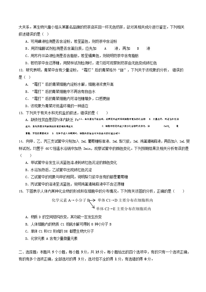 2025-2026学年高一生物上学期第一次月考生物试卷01（新高考）第3页