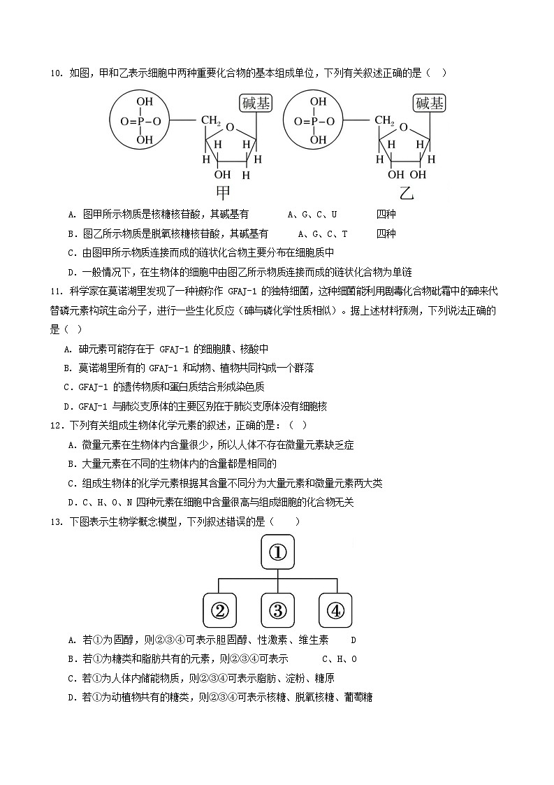 2025-2026学年高一生物上学期第一次月考生物试卷03（新高考）第3页