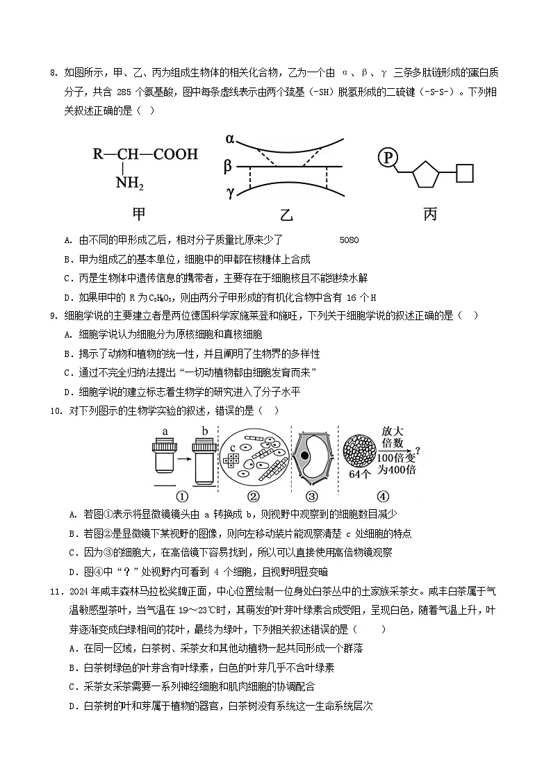 2025-2026学年高一生物上学期第一次月考生物试卷（苏教版）第3页