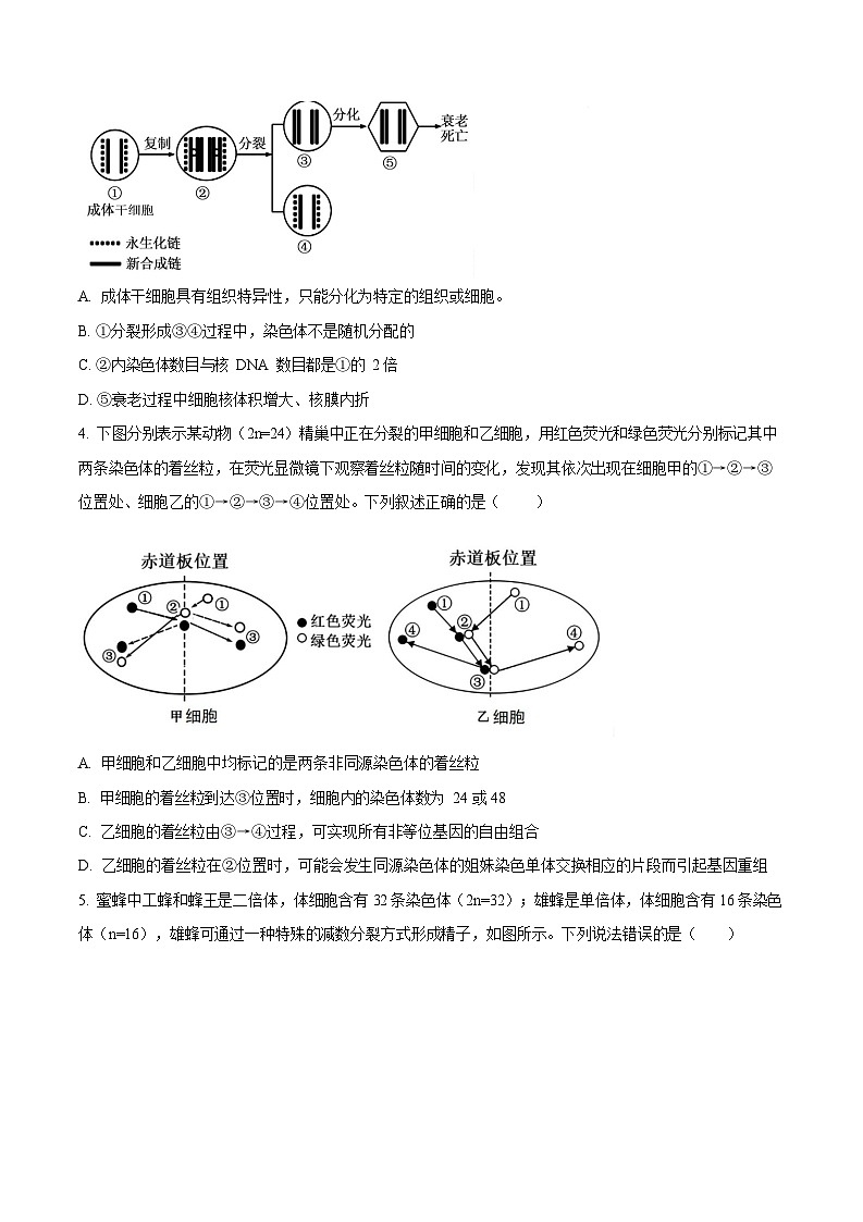 天津市南开大学附中2025年高三上学期第一次月考生物试卷第2页