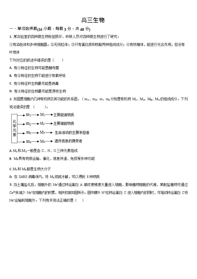 吉林省通化市梅河口市第五中学2025-2026学年高三上学期9月月考生物试卷第1页