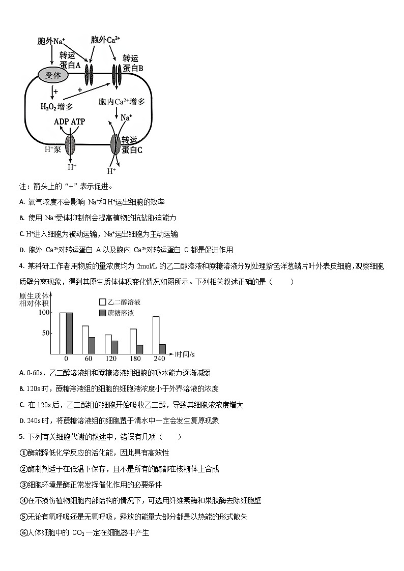 吉林省通化市梅河口市第五中学2025-2026学年高三上学期9月月考生物试卷第2页