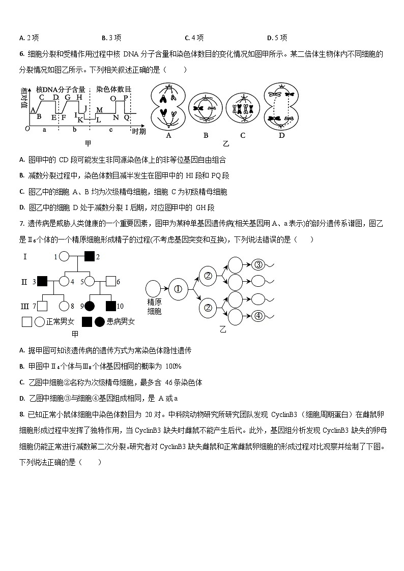 吉林省通化市梅河口市第五中学2025-2026学年高三上学期9月月考生物试卷第3页