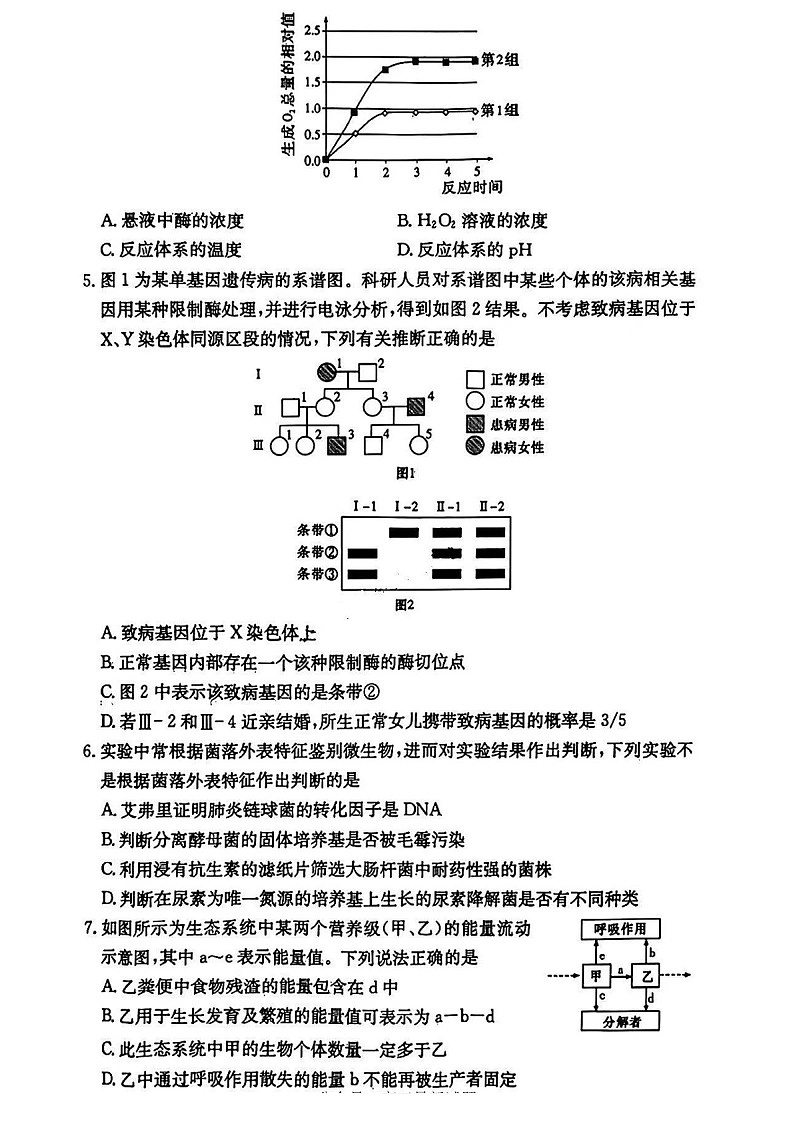 长郡中学2025届高三上学期月考试卷（四）-生物试题（含答案）第2页