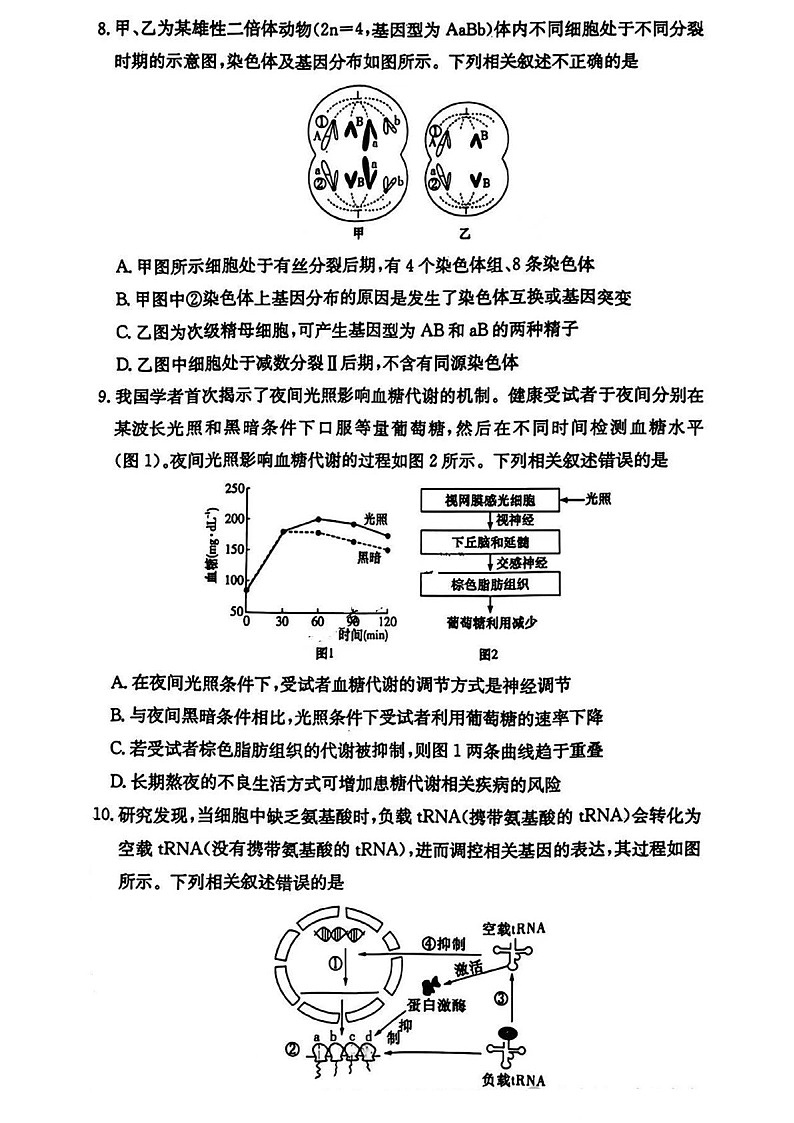 长郡中学2025届高三上学期月考试卷（四）-生物试题（含答案）第3页