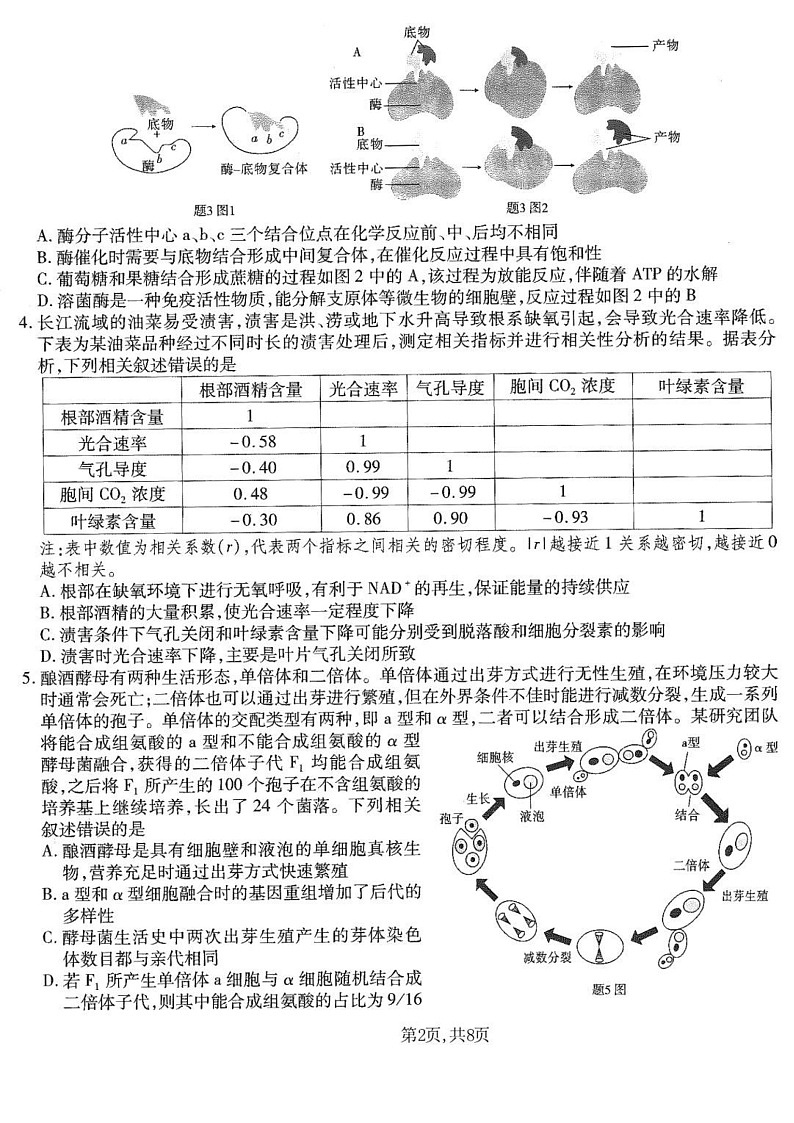 重庆市南开中学高2025届高三上学期第五次质量检测生物试题（含答案）第2页