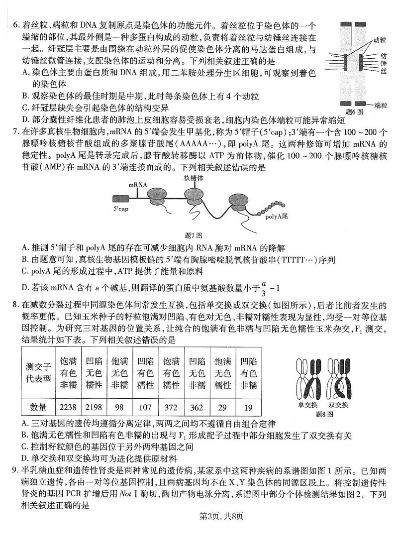 重庆市南开中学高2025届高三上学期第五次质量检测生物试题（含答案）第3页