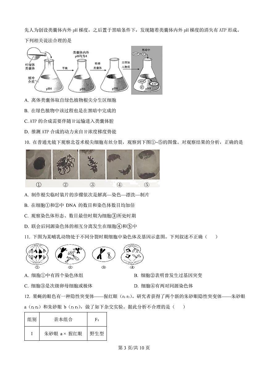 生物-北京市西城区育才学校2025-2026学年高三上学期9月月考试题及答案第3页