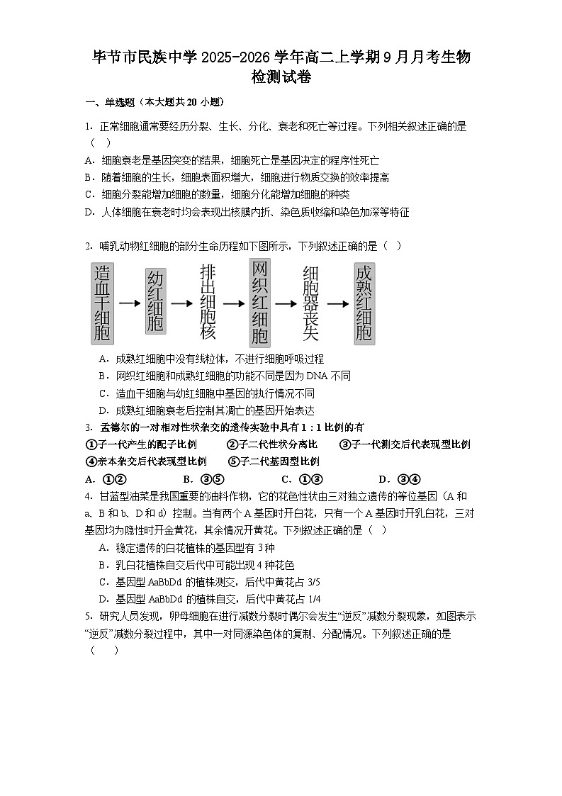 贵州省毕节市七星关区毕节市民族中学2025-2026学年高二上学期9月月考生物试题第1页
