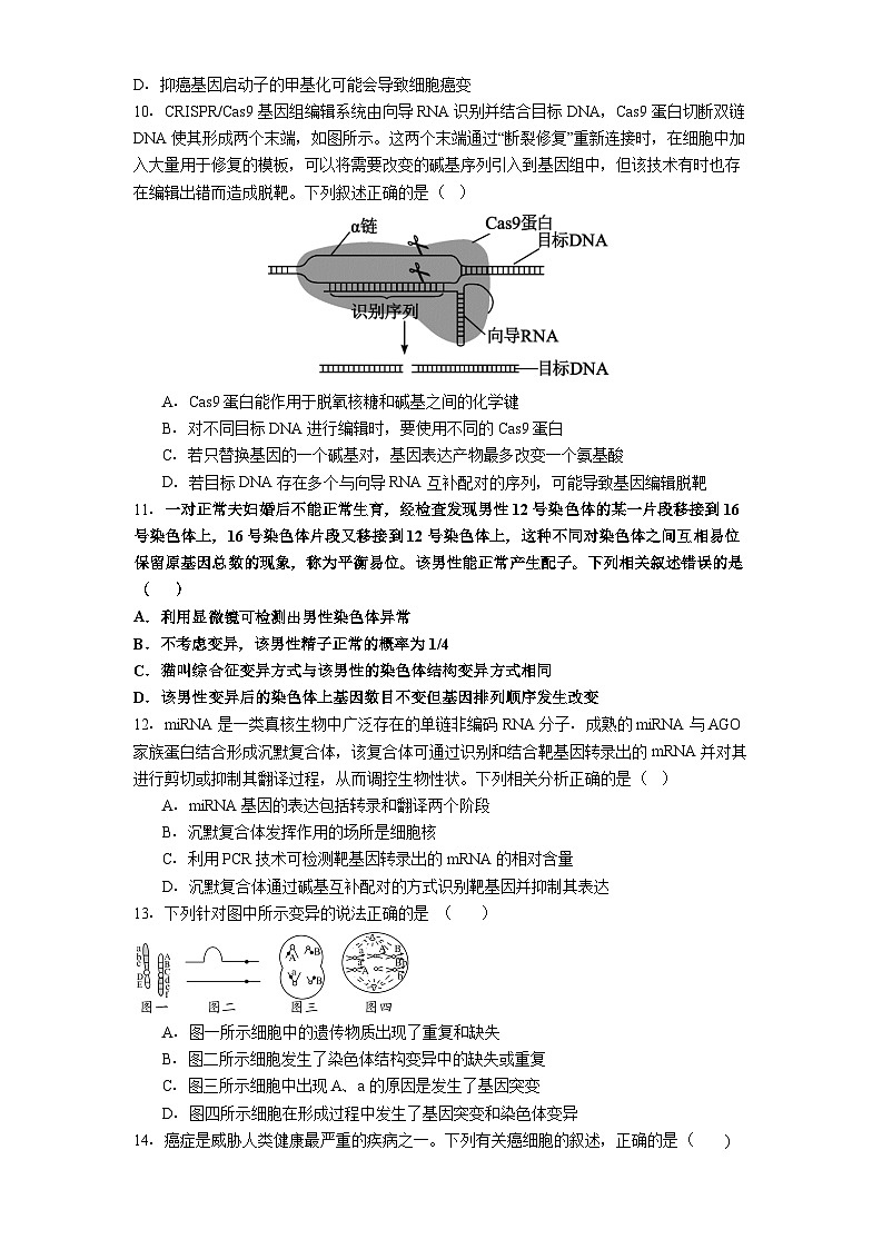 贵州省毕节市七星关区毕节市民族中学2025-2026学年高二上学期9月月考生物试题第3页