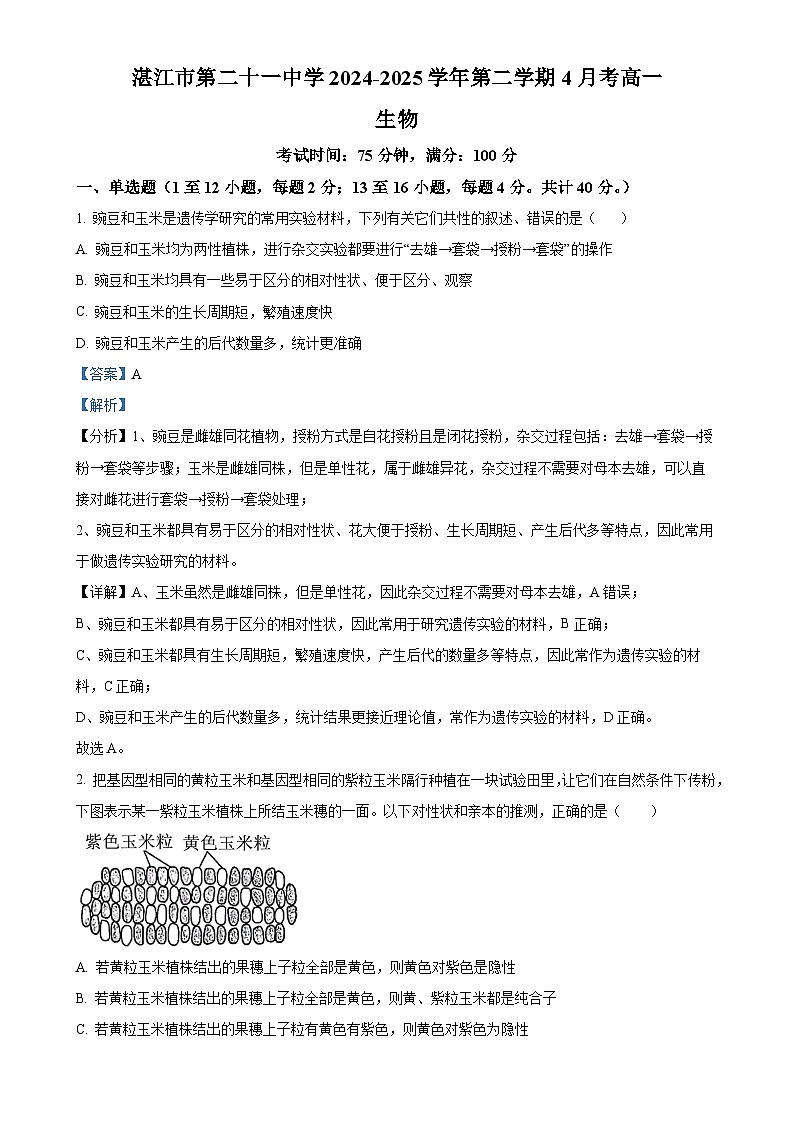 广东省湛江市第二十一中学2024-2025学年高一下学期4月月考生物试题（解析版）-A4第1页