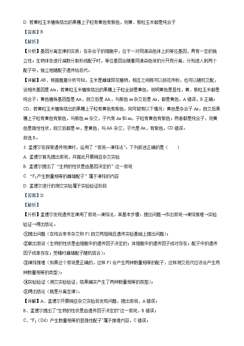 广东省湛江市第二十一中学2024-2025学年高一下学期4月月考生物试题（解析版）-A4第2页