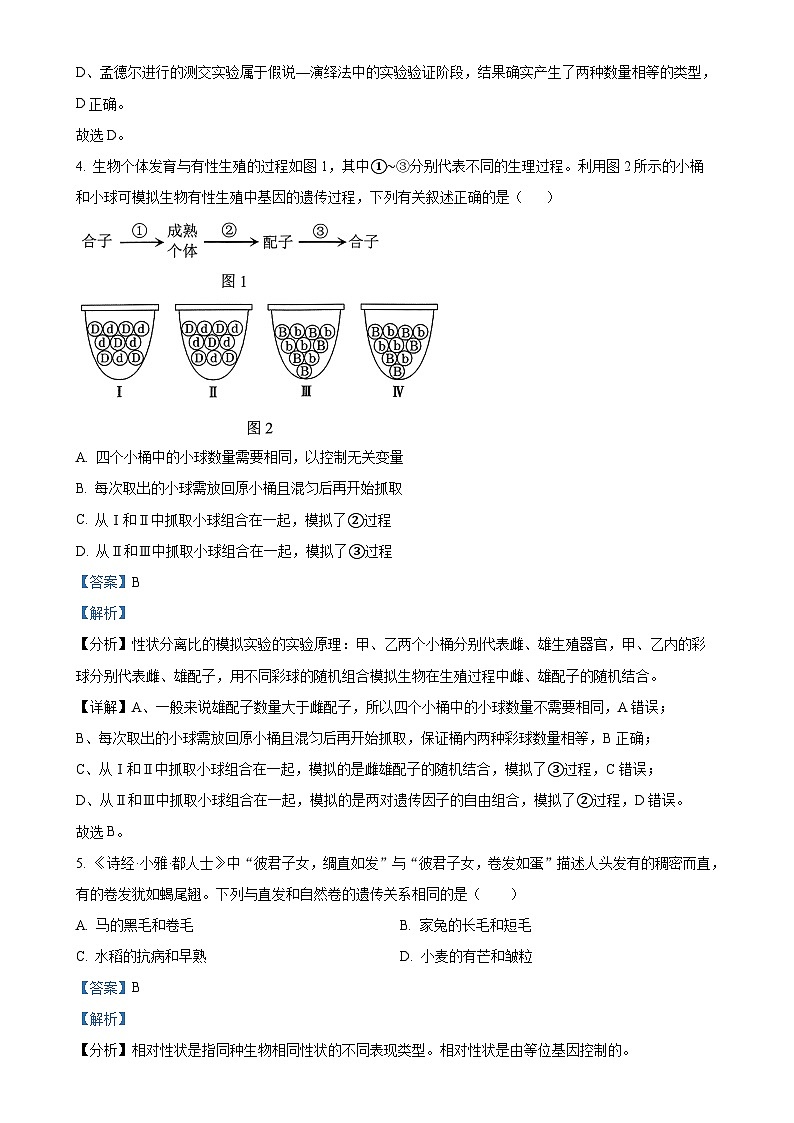 广东省湛江市第二十一中学2024-2025学年高一下学期4月月考生物试题（解析版）-A4第3页